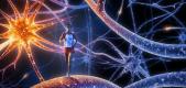 genes cells and brains