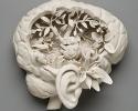 Psychiatry and the Meaning of Pain