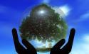 world hands environment