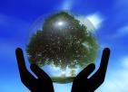 world hands environment
