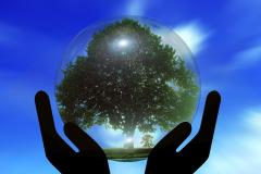 world hands environment