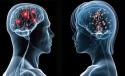 Physical Psychological Differences
