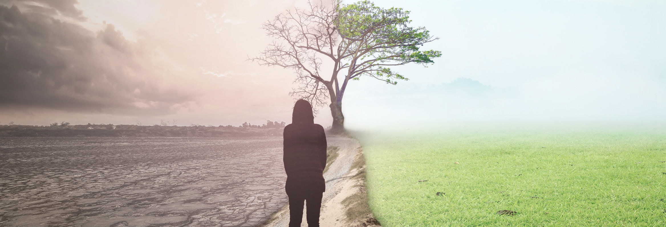 a radical hope for the environment Allen Thompson