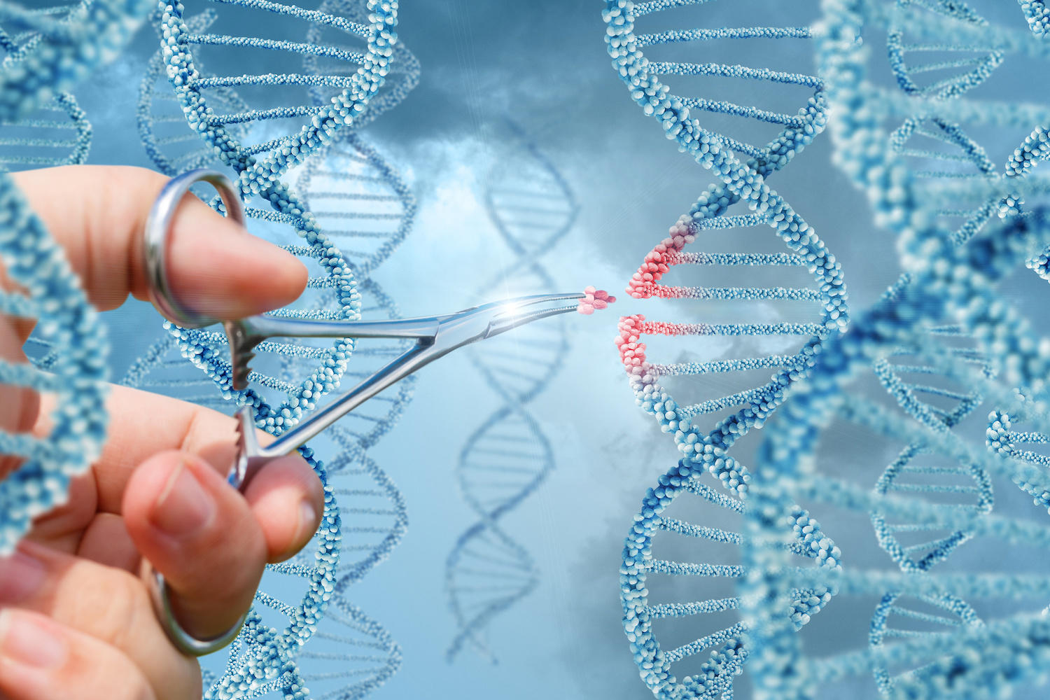 CRISPR
