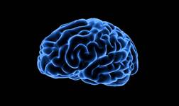 All In The Mind: Mark Vernon 