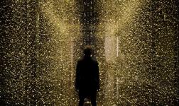 Life, Meaning and Morality: Christopher Hamilton