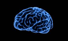 All In The Mind: Mark Vernon 