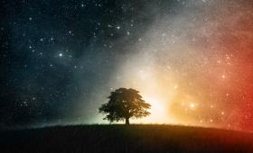 George Ellis: Our Place in the Universe