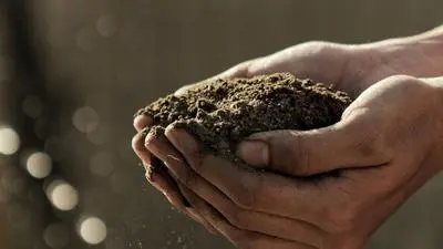 soil hands small