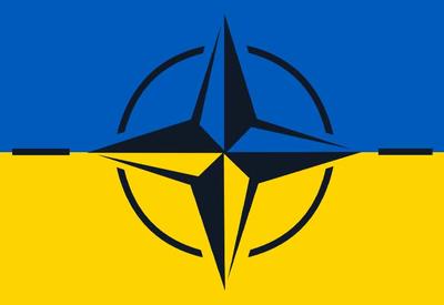 Ukraine NATO article2