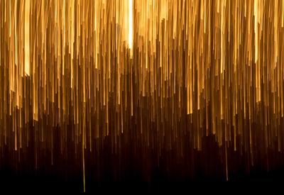 rene bohmer YeUVDKZWSZ4 unsplash