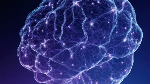 The Simulation Matrix