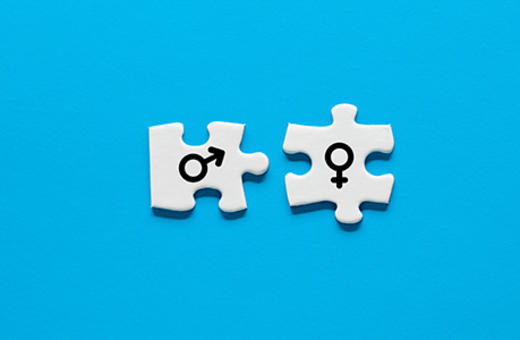 177 the equality puzzle thumbnail