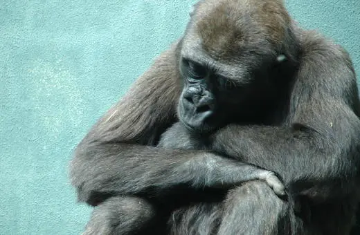 223145696b6ef05973co