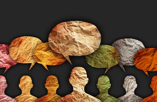 Languages are social tools not windows onto reality