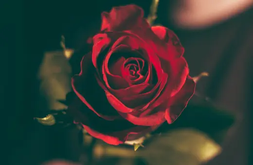 Science gets sexual experience dangerously wrong