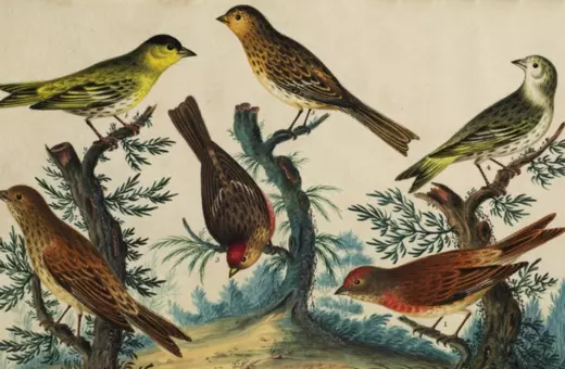 evolution is not driven by random mutations alone