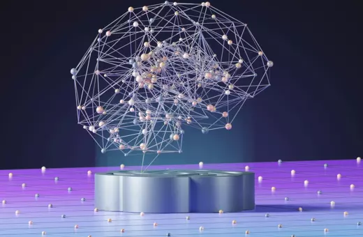 modularity of the brain