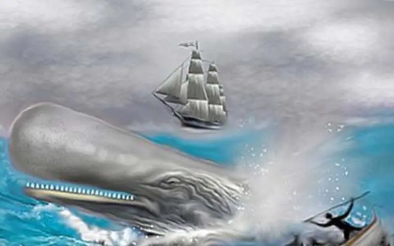 How to do philosophy with Moby Dick | Dean Moyar
