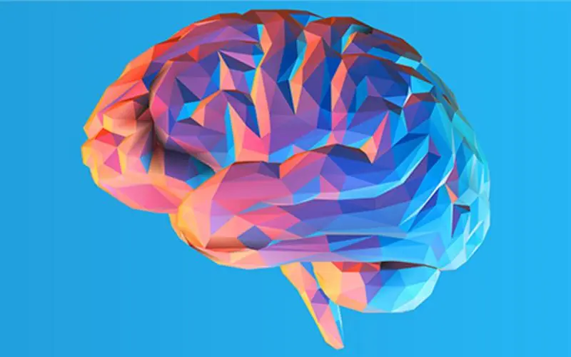 Understanding consciousness | Anil Seth