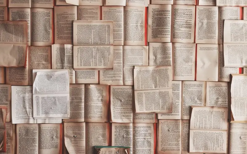 Language and the World