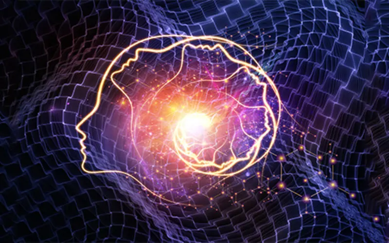 A history of the conscious world