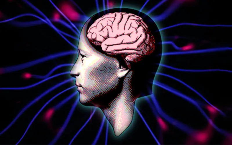 The new science of consciousness | Carlo Rovelli, Bernardo Kastrup, Patricia Churchland