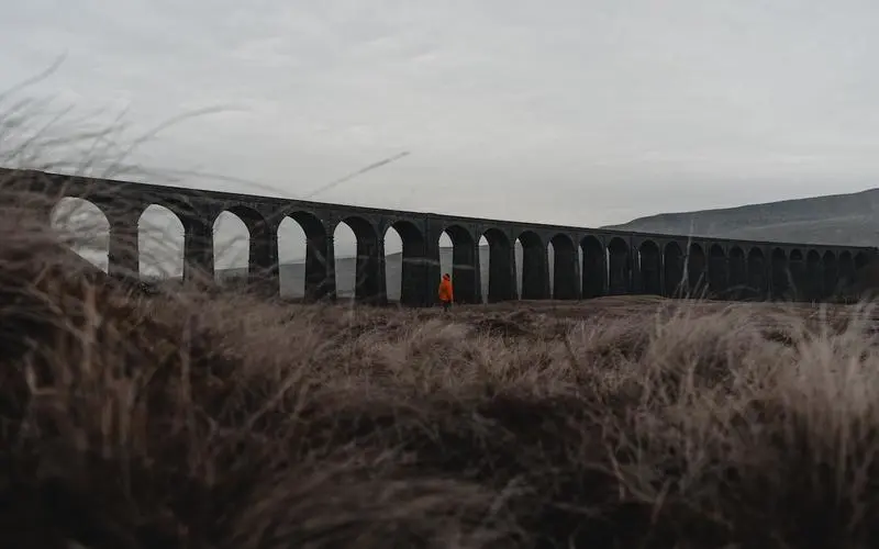 What does it mean to be lonely? » IAI TV