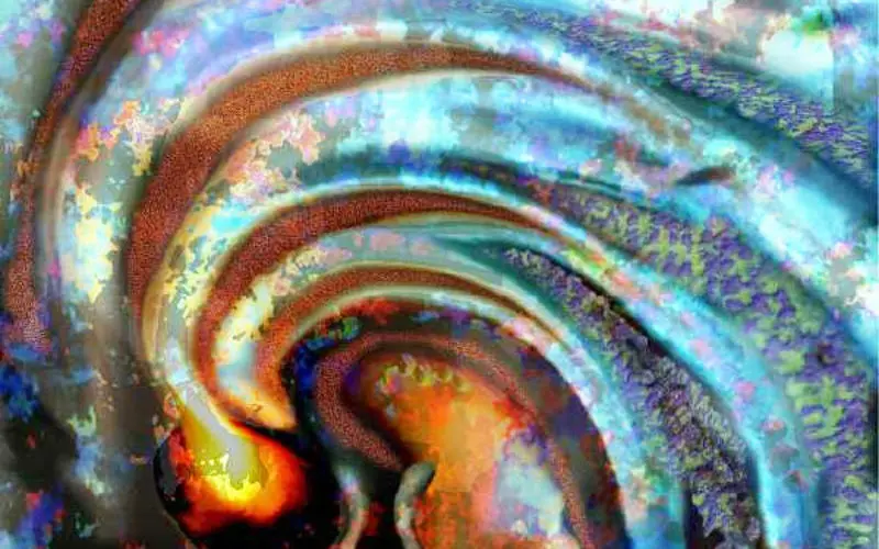 Mark Vernon: The Evolution of Consciousness