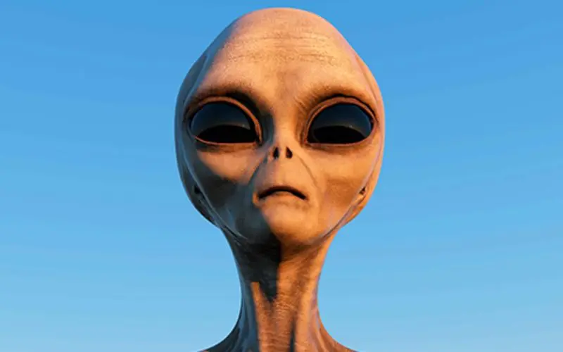 Alive in the universe