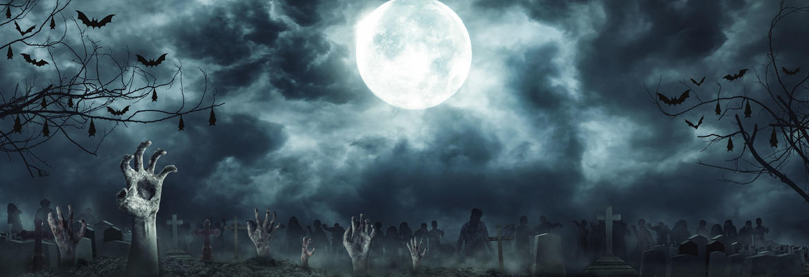 Return Of The Living Dead Slavoj žižek Iai Tv