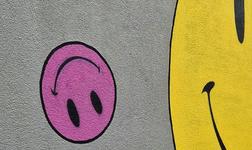 sophi raju LCLn7jwspjo unsplash cropped