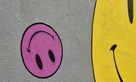 sophi raju LCLn7jwspjo unsplash cropped