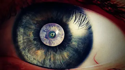 The mind's eye