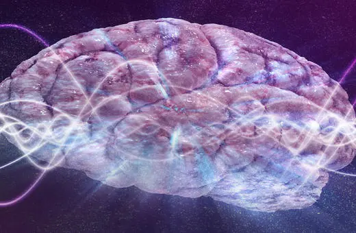David Nutt: entropy explains consciousness