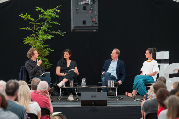 Lies Panel
