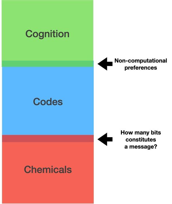 chemicals codes cognition