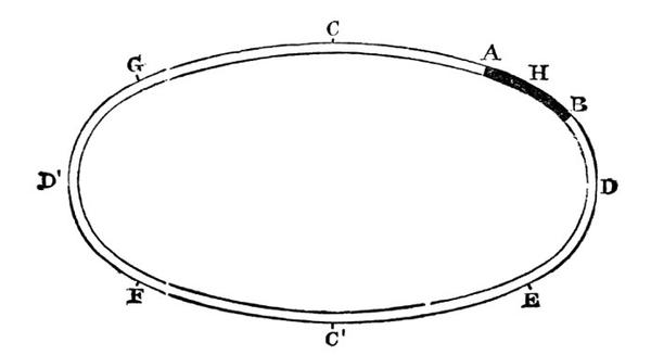 oval pic fig 2