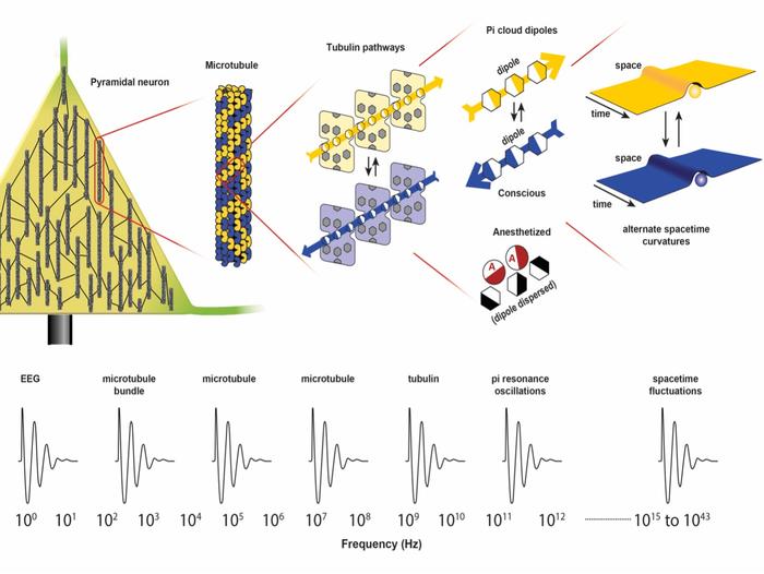 Quantum image2