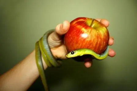 related-video-image
