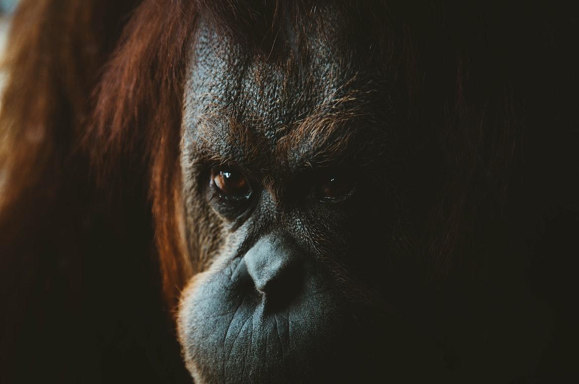 jack cain 351543 unsplash