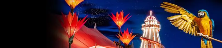  Colorful lights and flowers illuminate a vibrant carnival scene featuring a parrot, a large tent, and a ferris wheel against a night sky. 