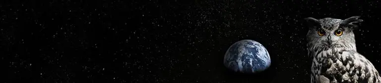  A majestic owl perched on a rocky surface, gazing toward a distant Earth in a starry space backdrop. 