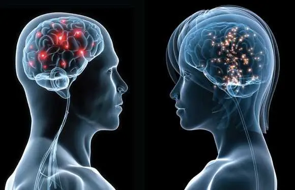 Physical & Psychological Differences Between Men & Women Physical & Psychological Differences Between Men & Women