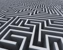 Mazes Of The Mind