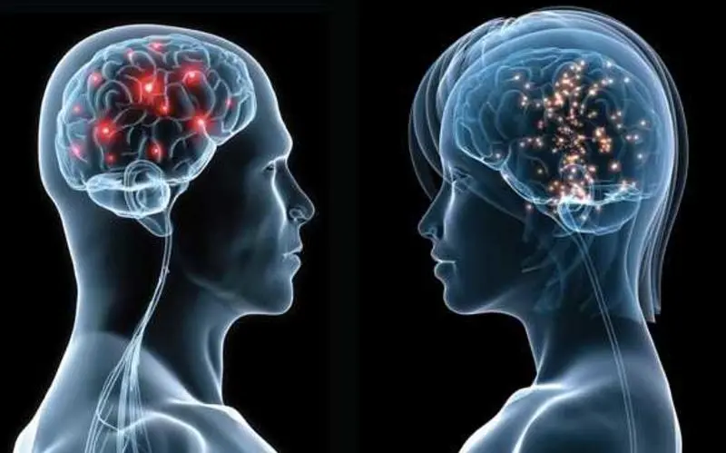 Physical & Psychological Differences Between Men & Women Physical & Psychological Differences Between Men & Women